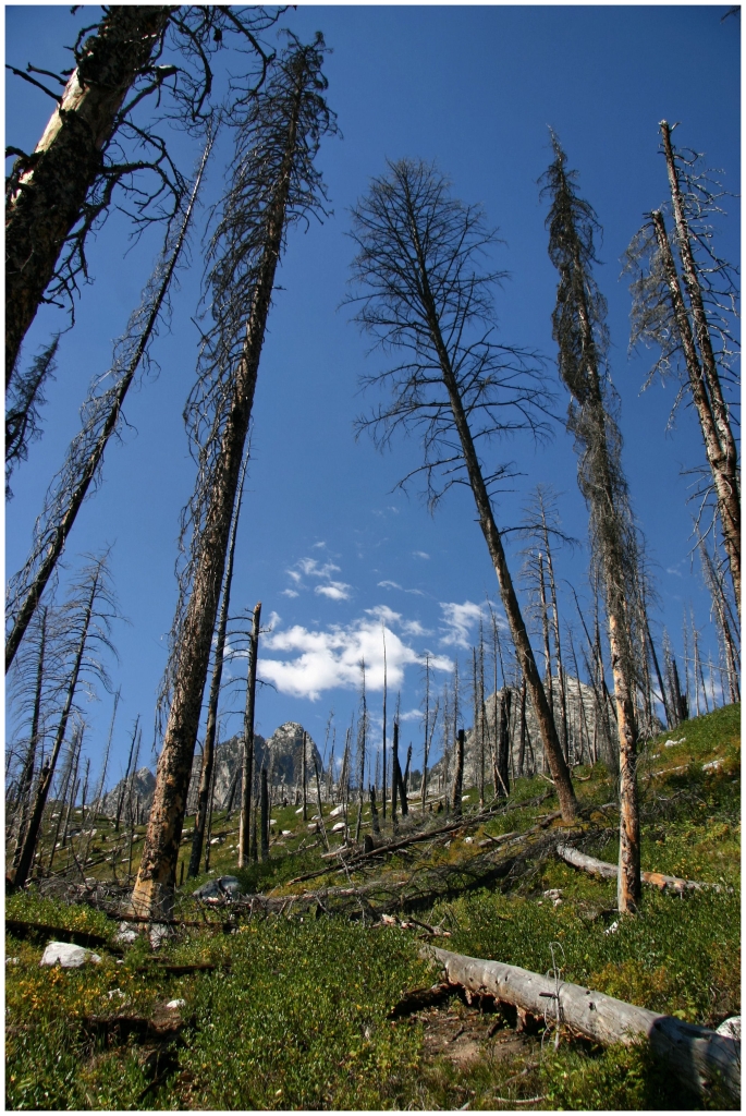 01 - Grand teton NP (20).jpg